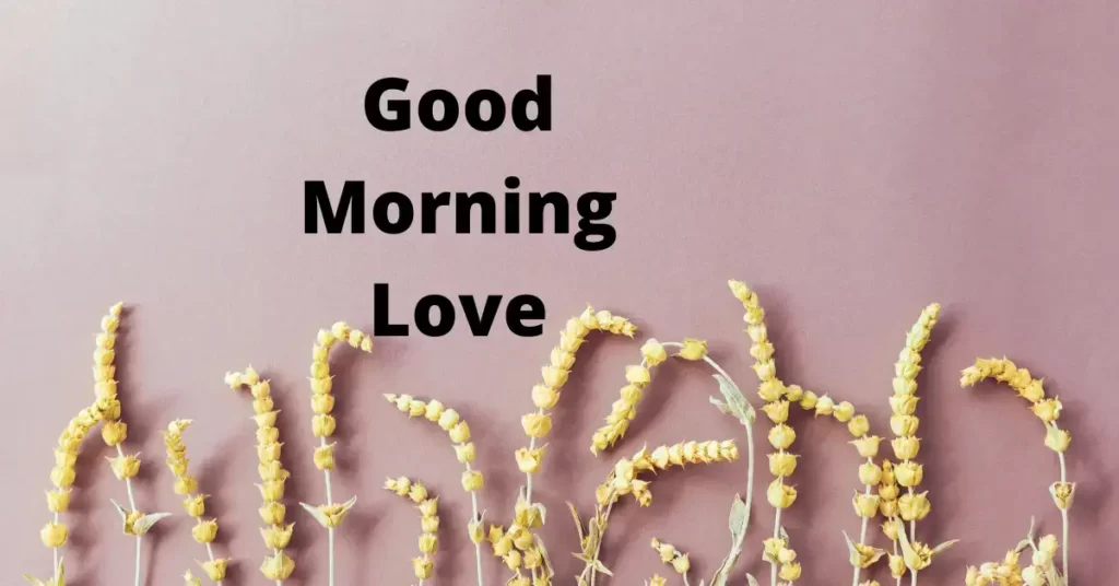 morning my love morning my love
